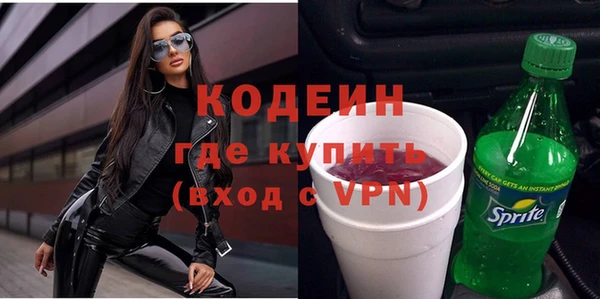 индика Богородск