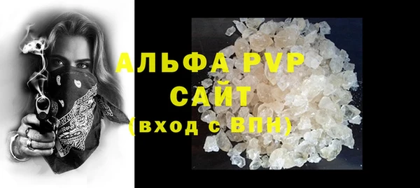 индика Богородск