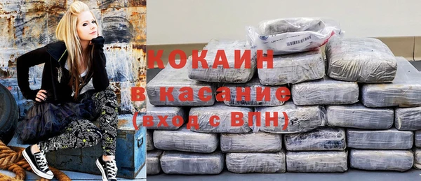 индика Богородск