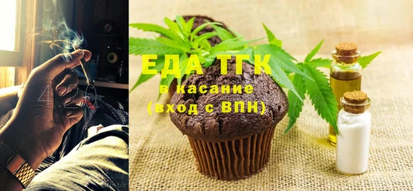 индика Богородск