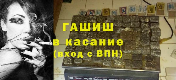 индика Богородск