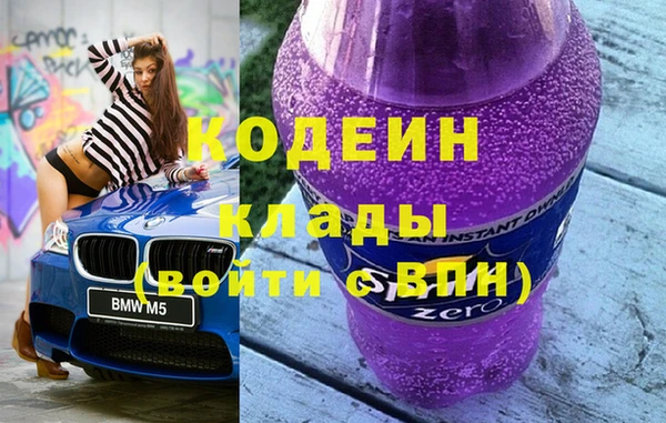 индика Богородск