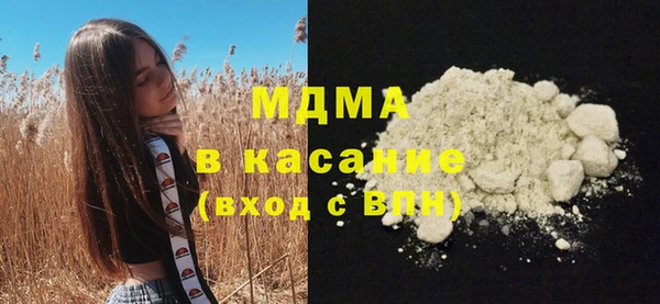 индика Богородск