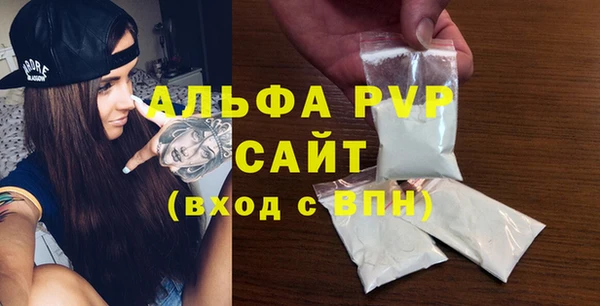 индика Богородск