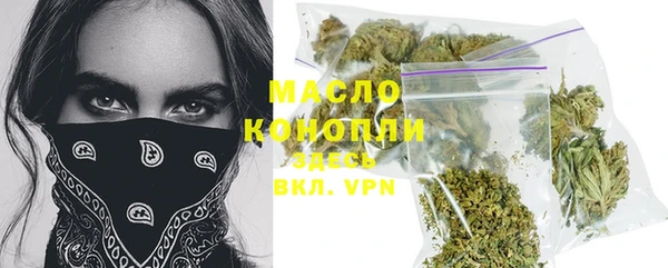 индика Богородск
